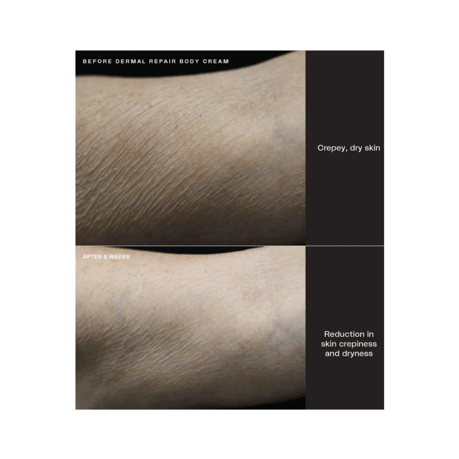 Sente Dermal Repair Duo* - Image 3